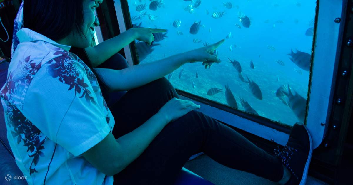 Okinawa Glass Bottom Boat Tour Klook